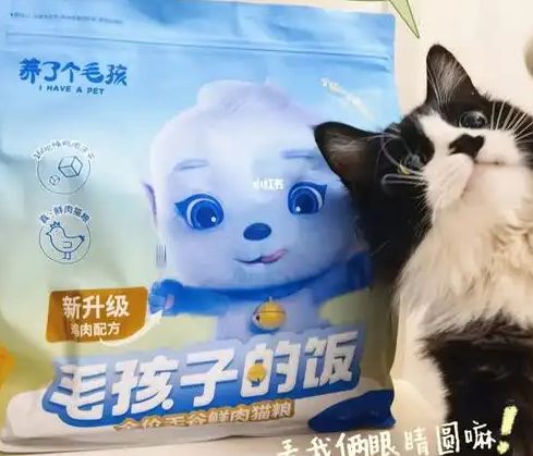 粮！三只松鼠靠什么重返宠物食品赛道开元棋牌app零食巨头盯上毛孩子口(图4)