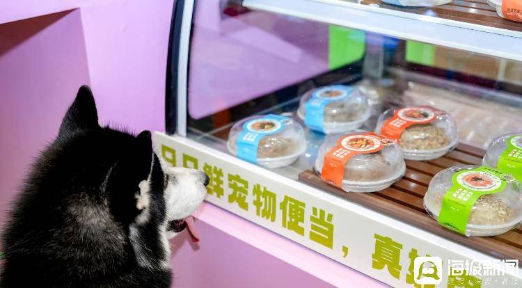 宠物鲜食”正在成为行业“新”风口开元棋牌当宠物吃上新鲜便当 “(图1)
